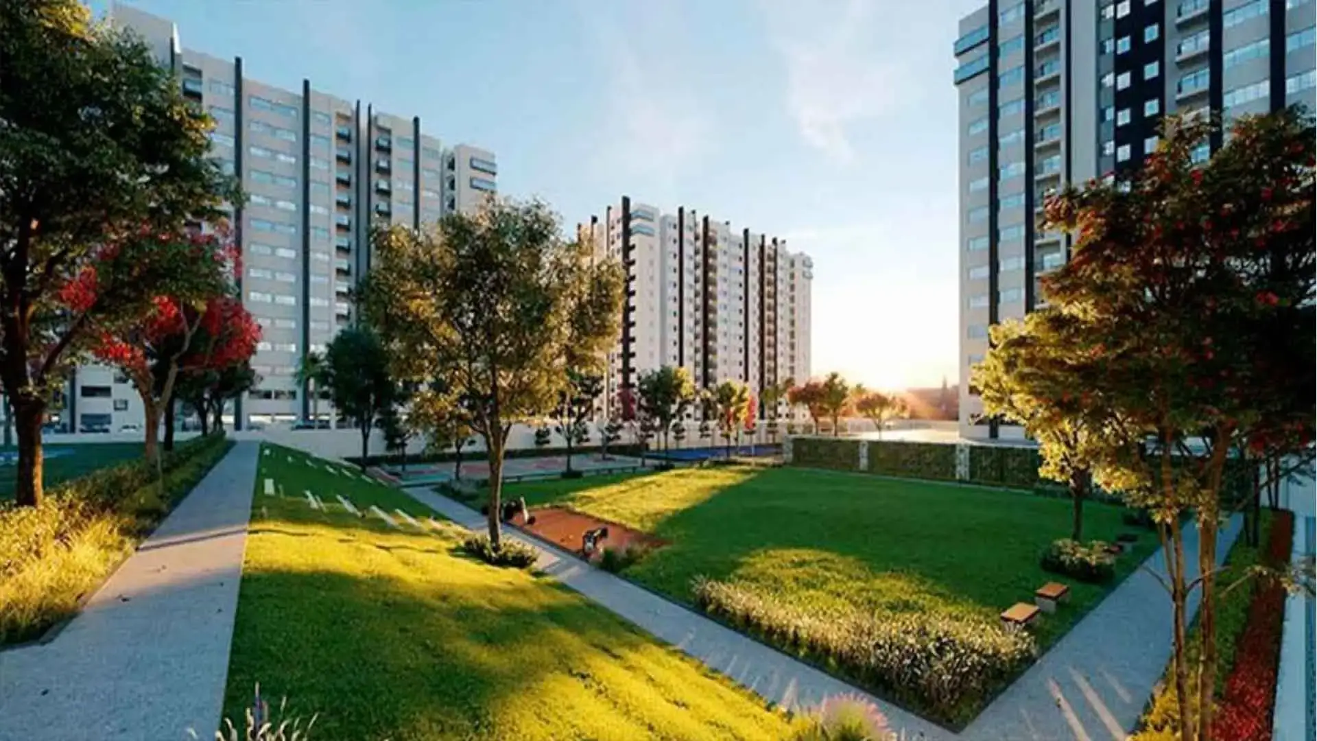 16.Embassy verde