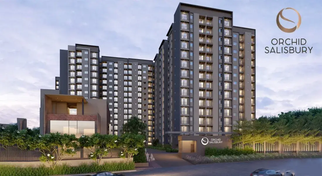 8.Orchid Salisbury